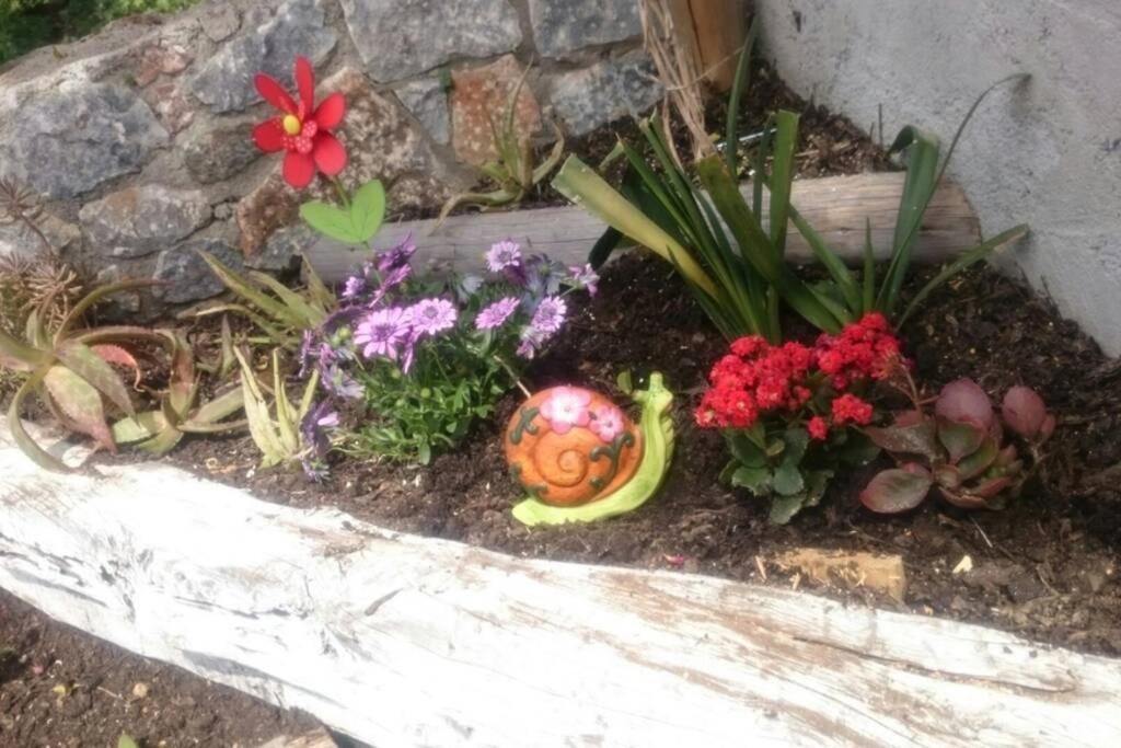 Nemesis Paleochora Διαμέρισμα Χανιά Εξωτερικό φωτογραφία