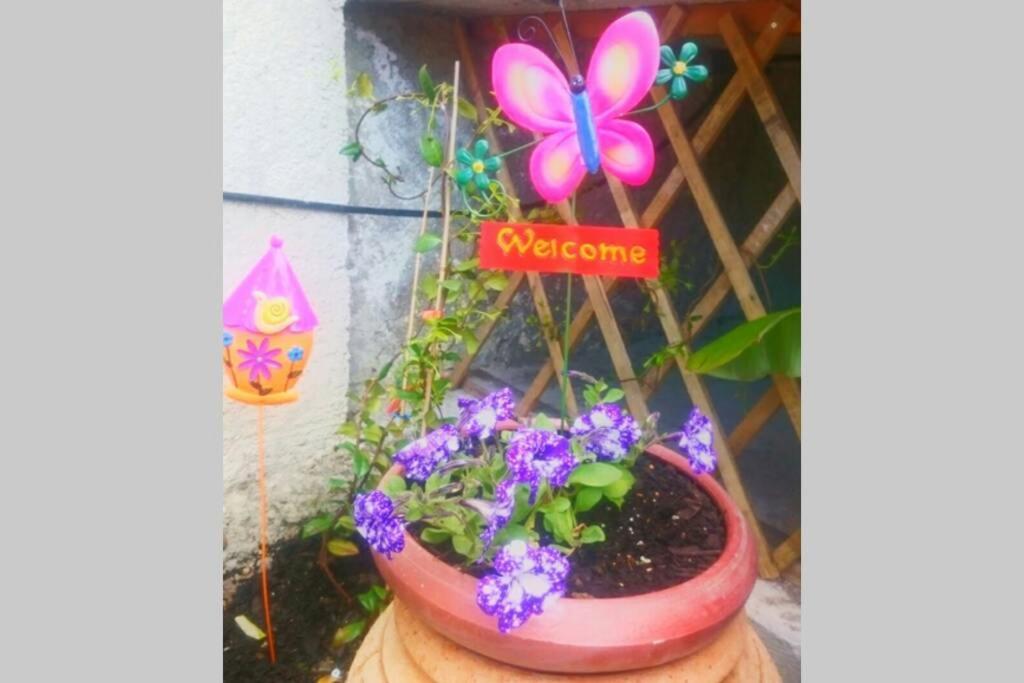 Nemesis Paleochora Διαμέρισμα Χανιά Εξωτερικό φωτογραφία